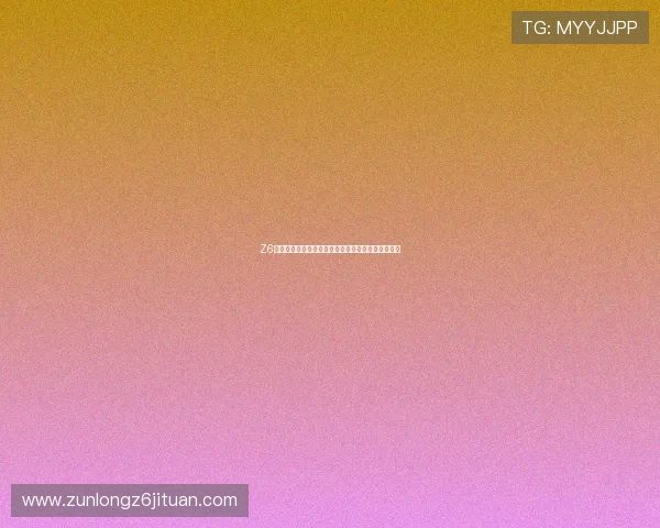 Z6会官方推出世界杯专题数据统计与比赛结果实时更新